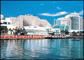 Novotel Darling Harbour Hotel Sydney, NextGen Day Australia