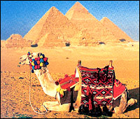 Egypt Hotels & Egypt Resorts