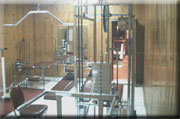 Gym: Azadi Grand Hotel Tehran Iran