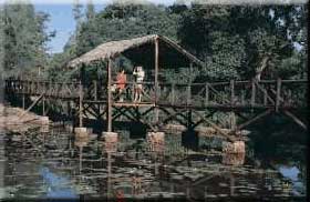 Hotelview: Sarova Mara Camp Mara Kenya