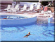 Pool: Crowne Plaza Hotel Kuwait