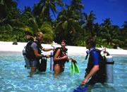 Hotel Resort Diving