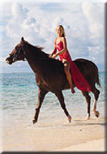 Horse Riding: Le Coco Beach Hotel Mauritius