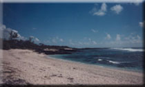 Beach: Les Poires Mauritius