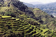 Banacue Rice Terraces