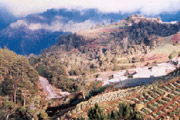 Banacue Rice Terraces