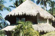 Nipa Hut