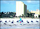 Holiday Inn South Beach Hotel Miami Beach, NextGen Day America