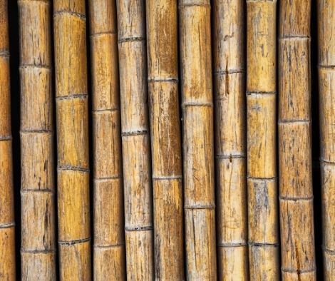 In Ilocos Norte, bamboo caregivers supplement their income.