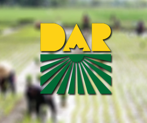 DAR: Farming is an excellent source of income for displaced workers