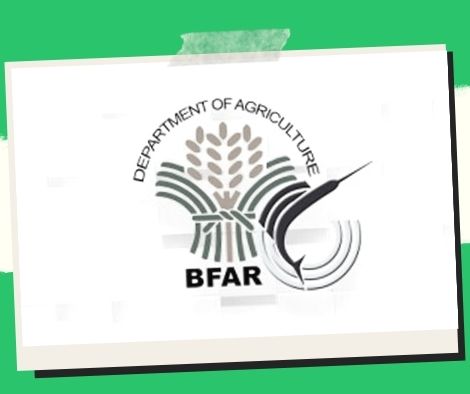 The BFAR ordered a halt to its campaign against import fish vendors.