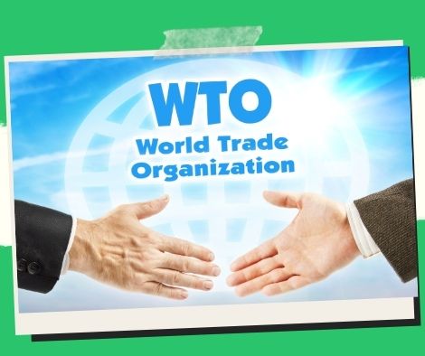 The World Trade Organization (WTO) has launched a trade information tool for SMEs.